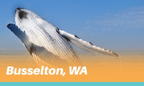 Busselton Experiences - Summerstar