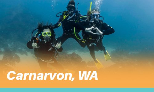 Carnarvon Experiences - Summerstar
