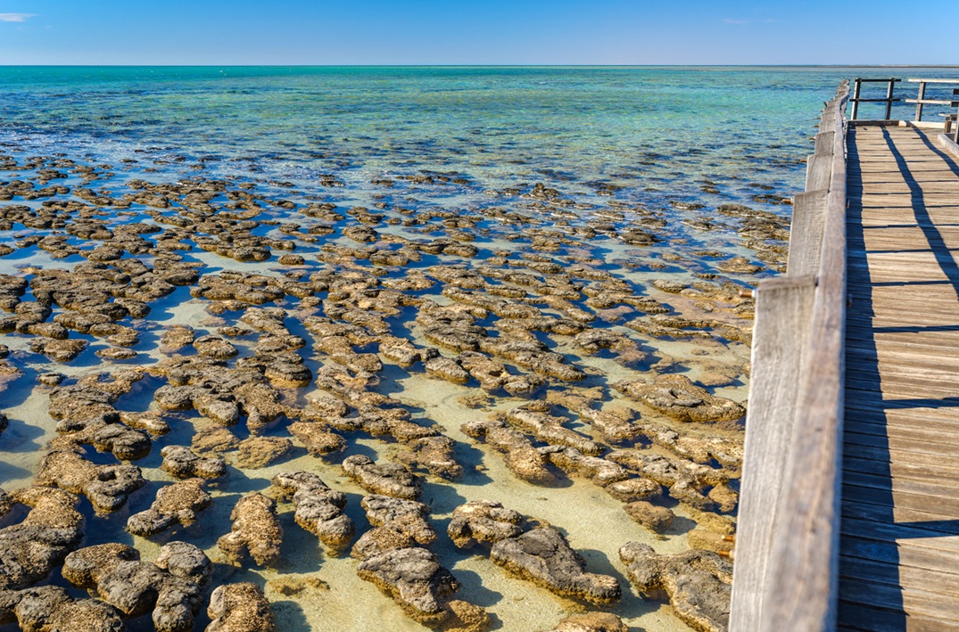 A wooden boardwalk next to rock like structures 