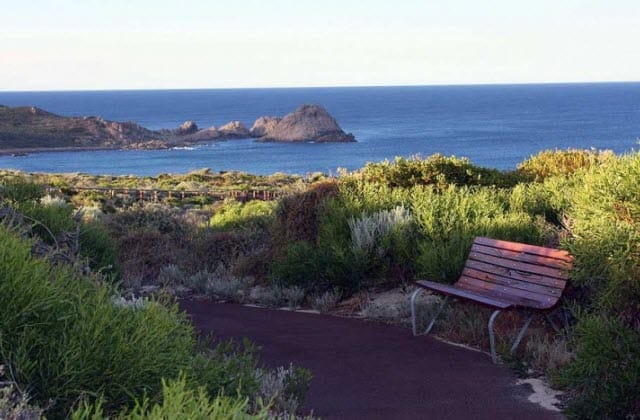 Bench seat near ocean on Cape to Cape Walk Track.