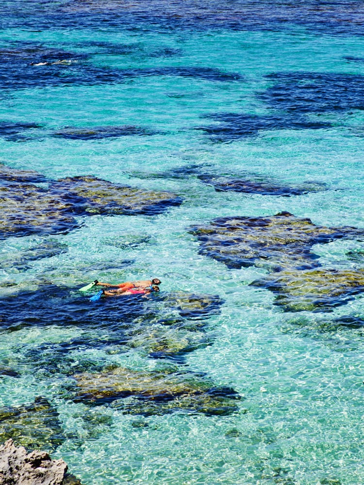 Travelling backpackers snorkelling at Rottnest Island, off the coast of Fremantle.