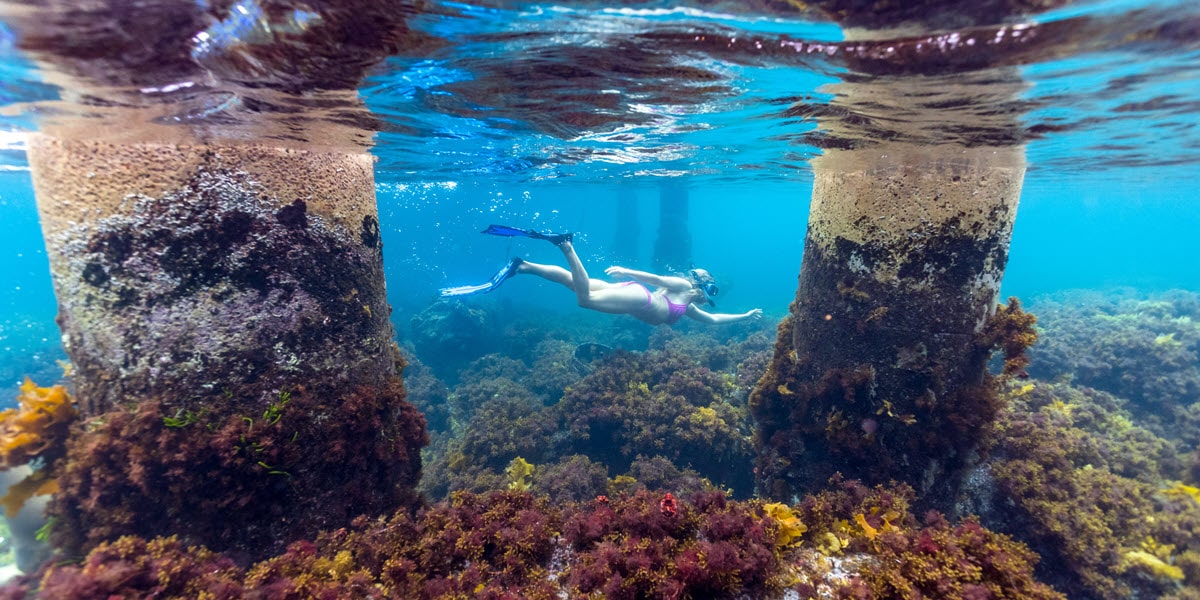 Snorkelling at Woody Island, near Esperance