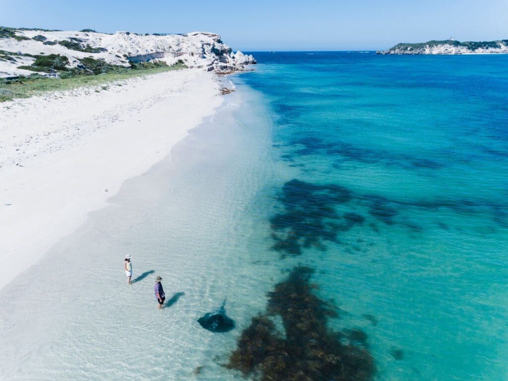 2 people standing on the shore in the water with a stingray lying in the blue ocean in front of them.