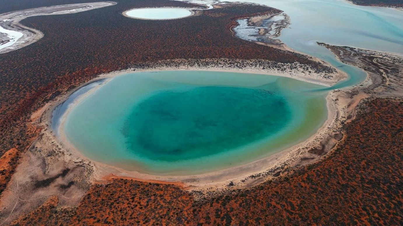 A blue bay surrounded by native bushland