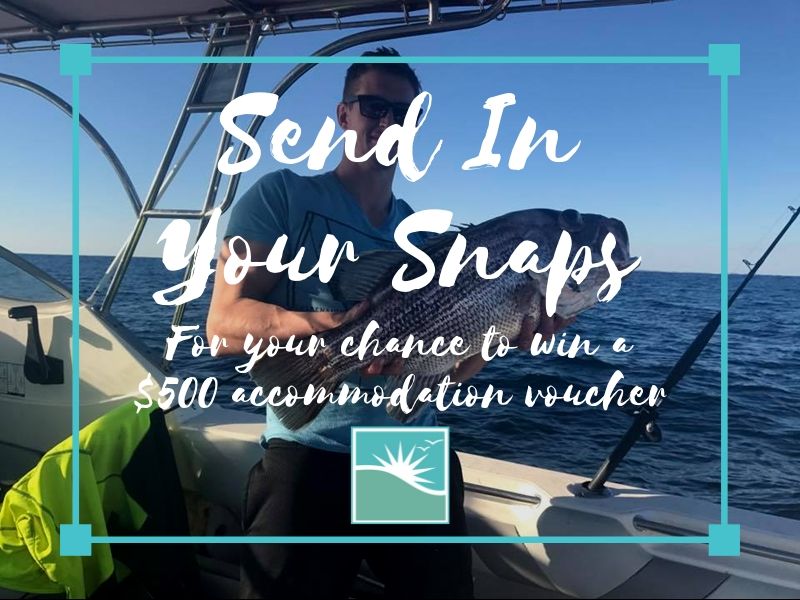 Send In Your Beach Fishing Snaps To Summerstar Tourist Parks