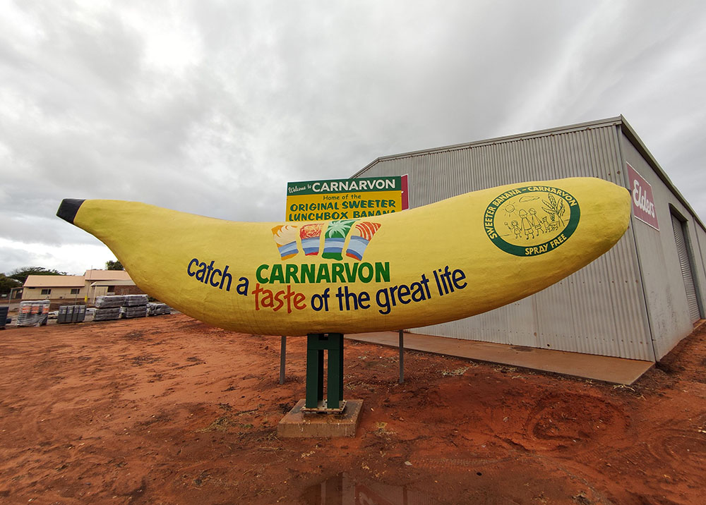 A statue of a big banana