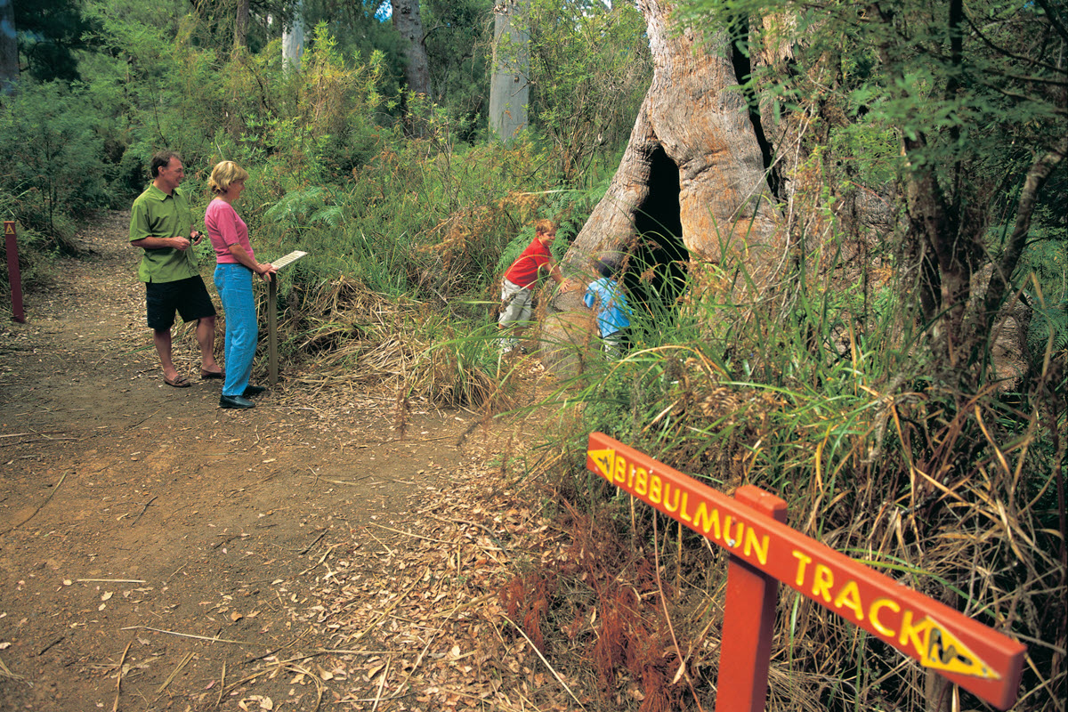 Bibbulmun Track in Walpole-Nornalup National Park.