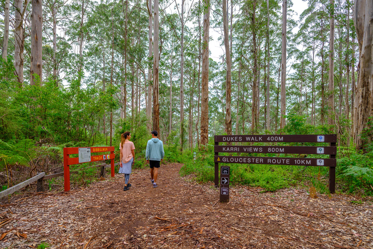 Gloucester National Park, near Pemberton.