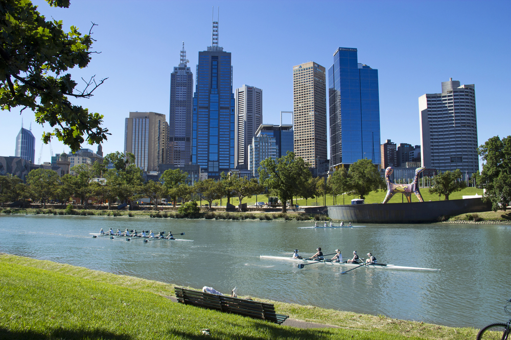 3 rowing boats on the river in front of the city