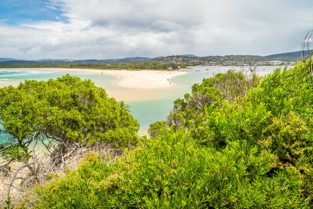 An image of the beach with bush in the forefront.