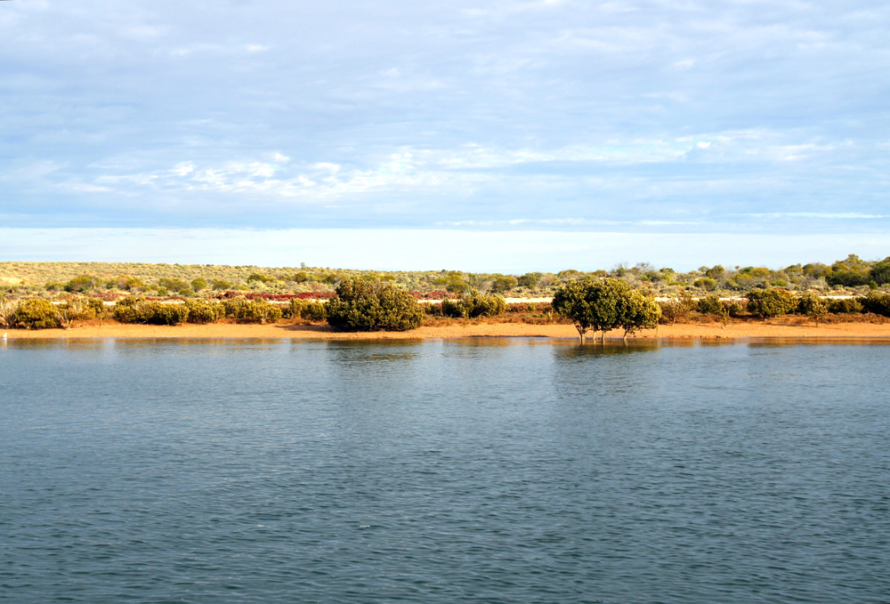 A body of water in front of the banks with trees and brush