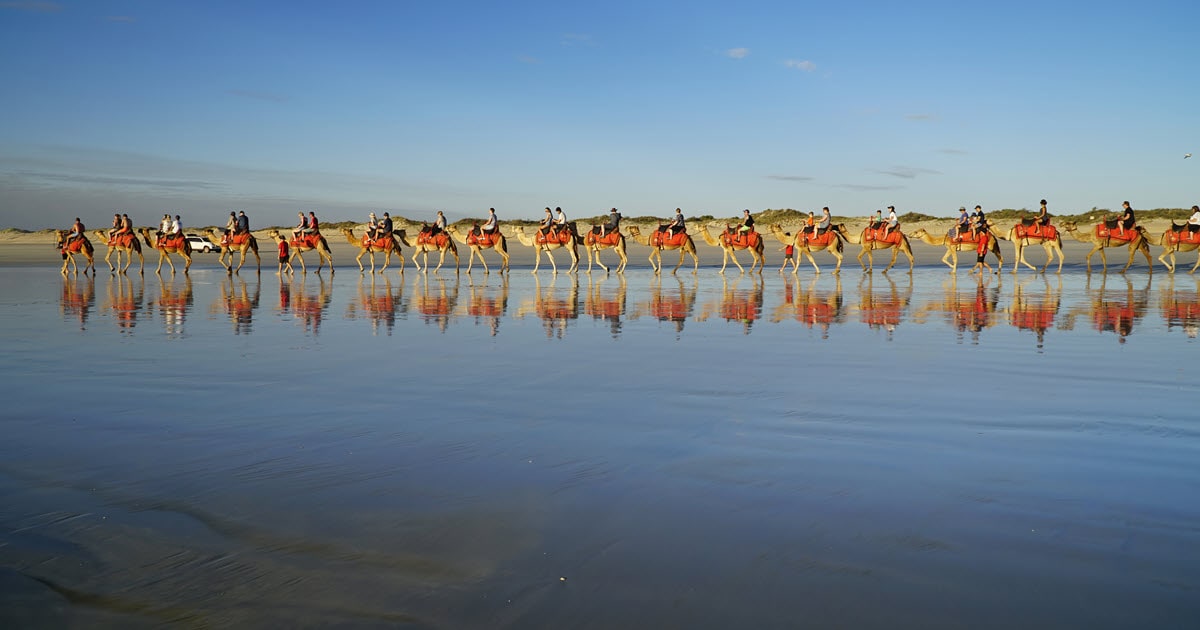 Red Sun Camels tour group bouncing down the shoreline at Cable Beach in Broome, Australia.