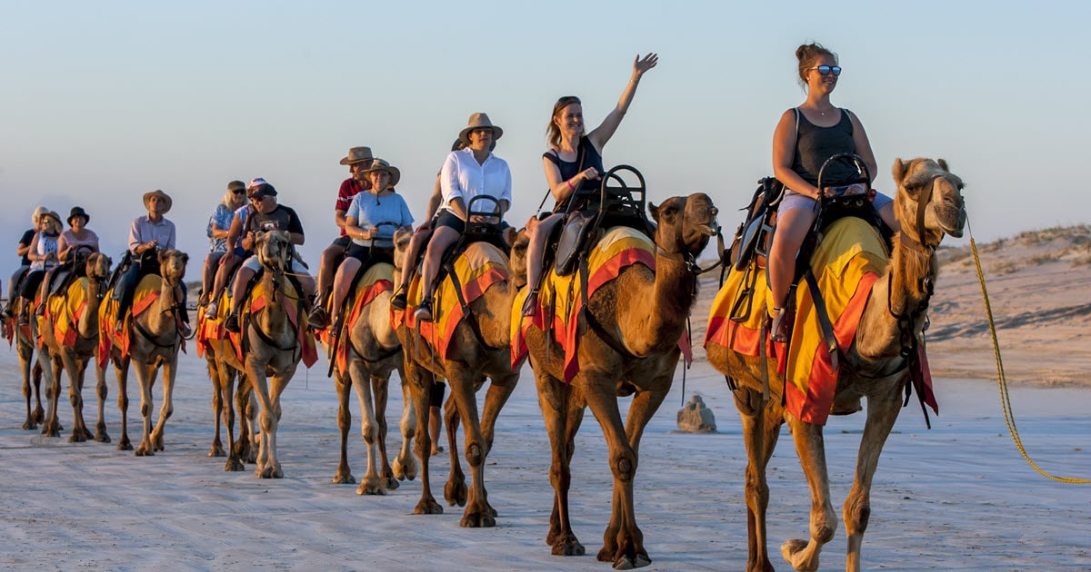 Group of travellers taking a Sundowner Camel Tours experience in Broome, WA.