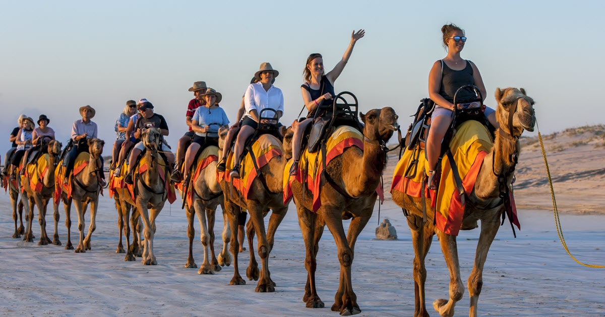 sundowner camel tours