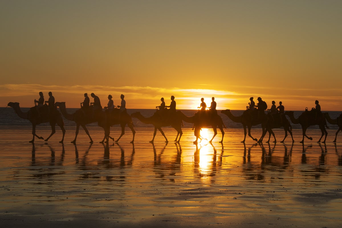 Travellers riding camels in a line as the sun sets over Cable Beach in Broome, Western Australia.