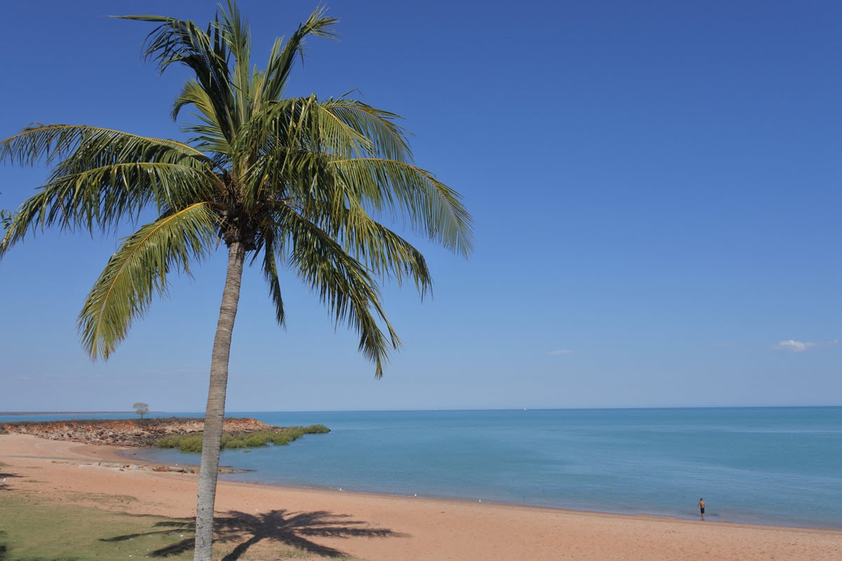 View of Town Beach in Broome, WA with palm tree overhanging beachside.