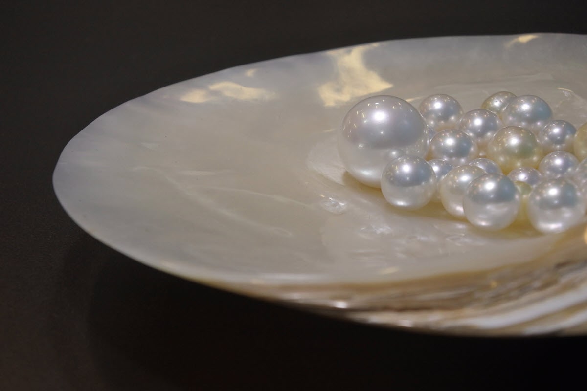 An assortment of pearls in a shell, a common sight in Broome, Western Australia.