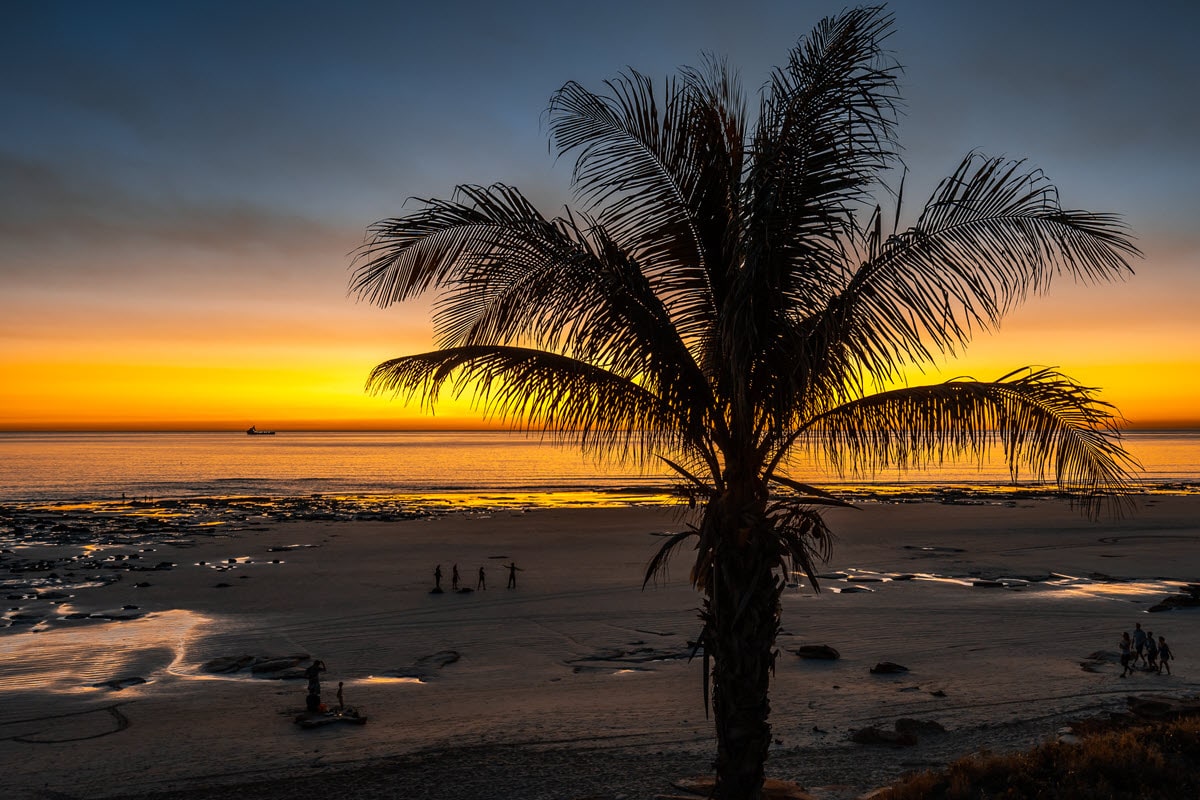 Watching the sun set in Broome over the beach with palm trees in sight.