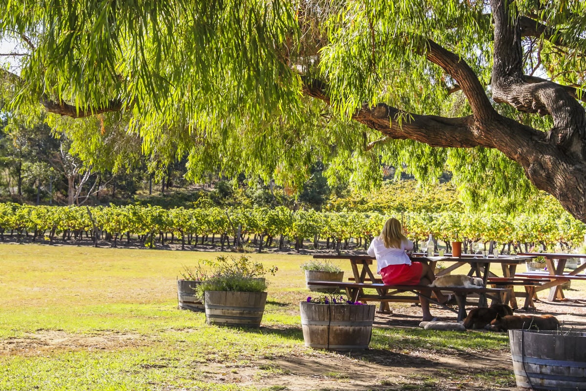 Relaxing at a table under the tree in Wilyabrup, Western Australia.