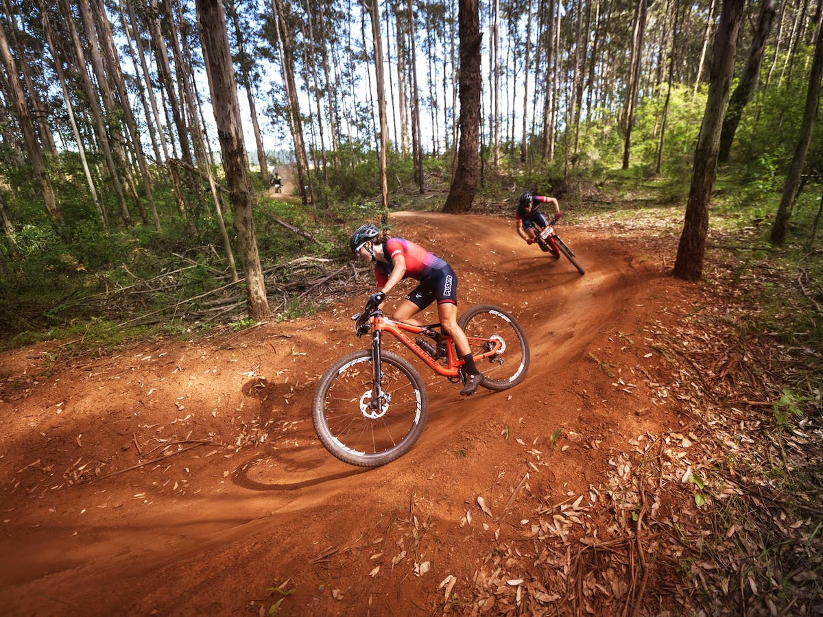 2 cyclists peddle along gravel paths in the middle of a forest.