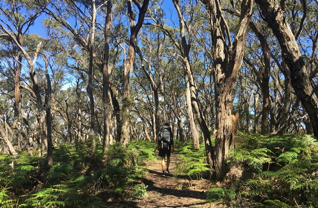 the great ocean pathway hiking trails australia esperance