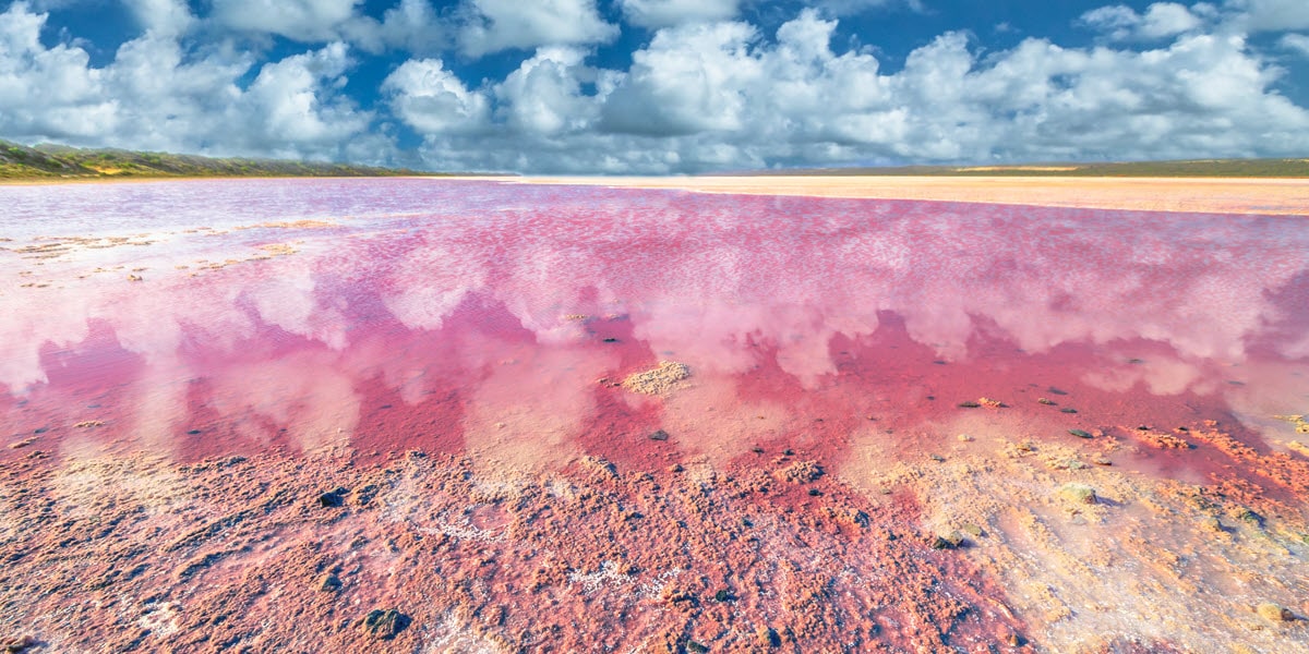 kalbarri pink lake distinct pink colour