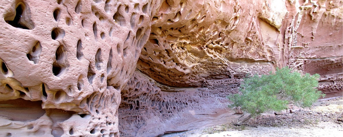 Kennedy Ranges Honeycomb Gorge bright light rockface.