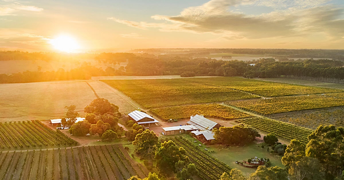 Enjoy spanning views over the vineyard at Cullen Wines in Wilyabrup, WA.