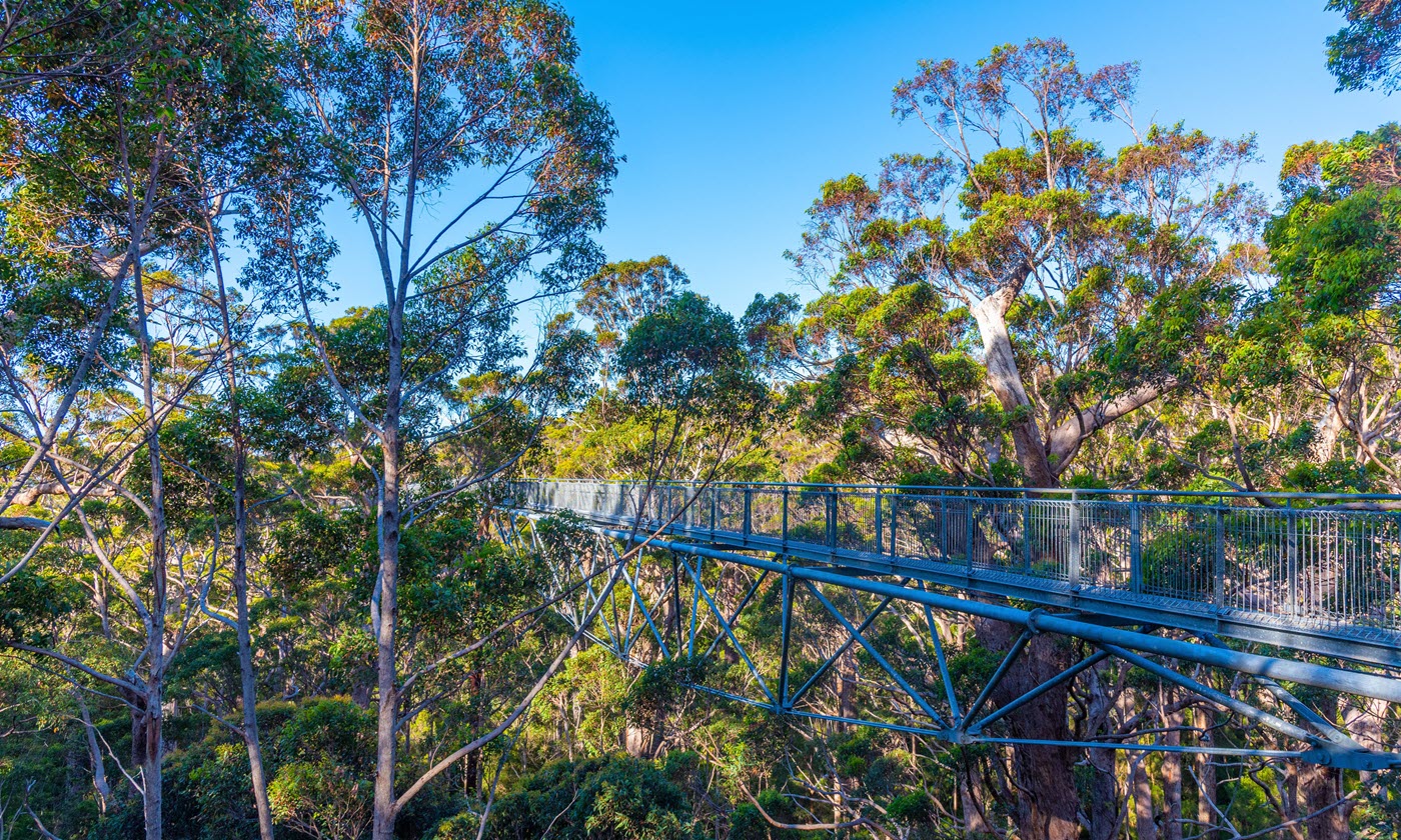 Walpole-Nornalup National Park in WA.