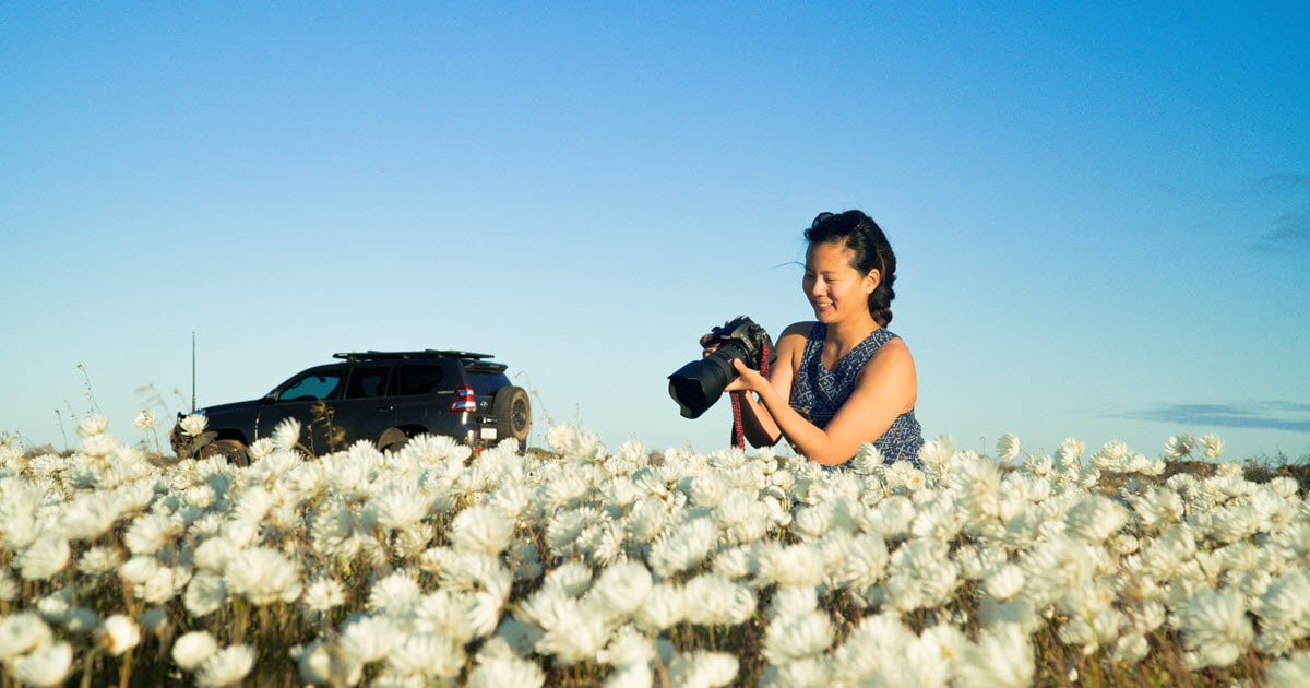 Photographer capturing beautiful wildflowers in Carnarvon, Western Australia.