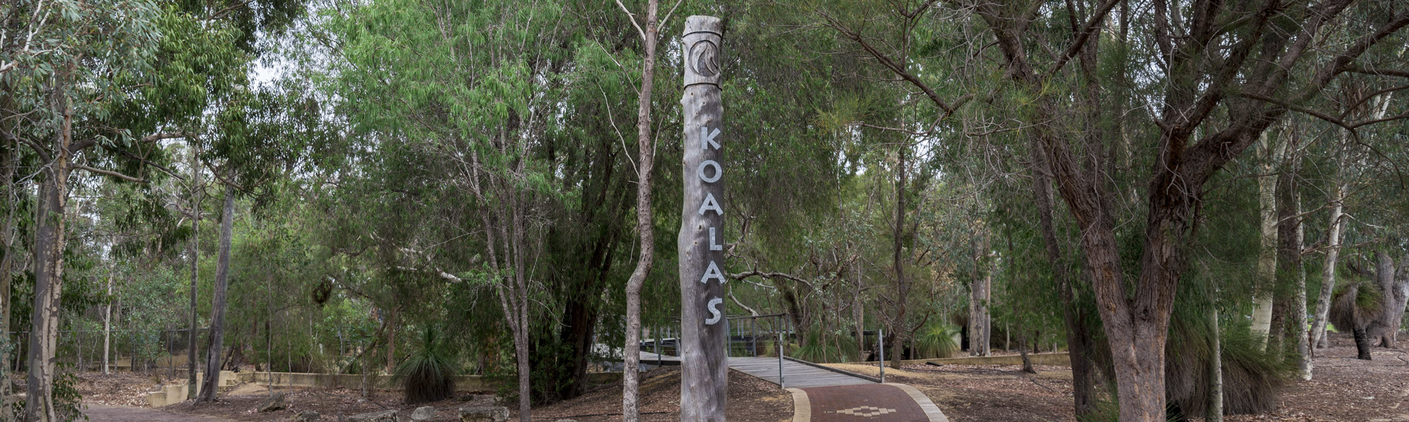 Koala and bird watching area at Yanchep National Park, WA.