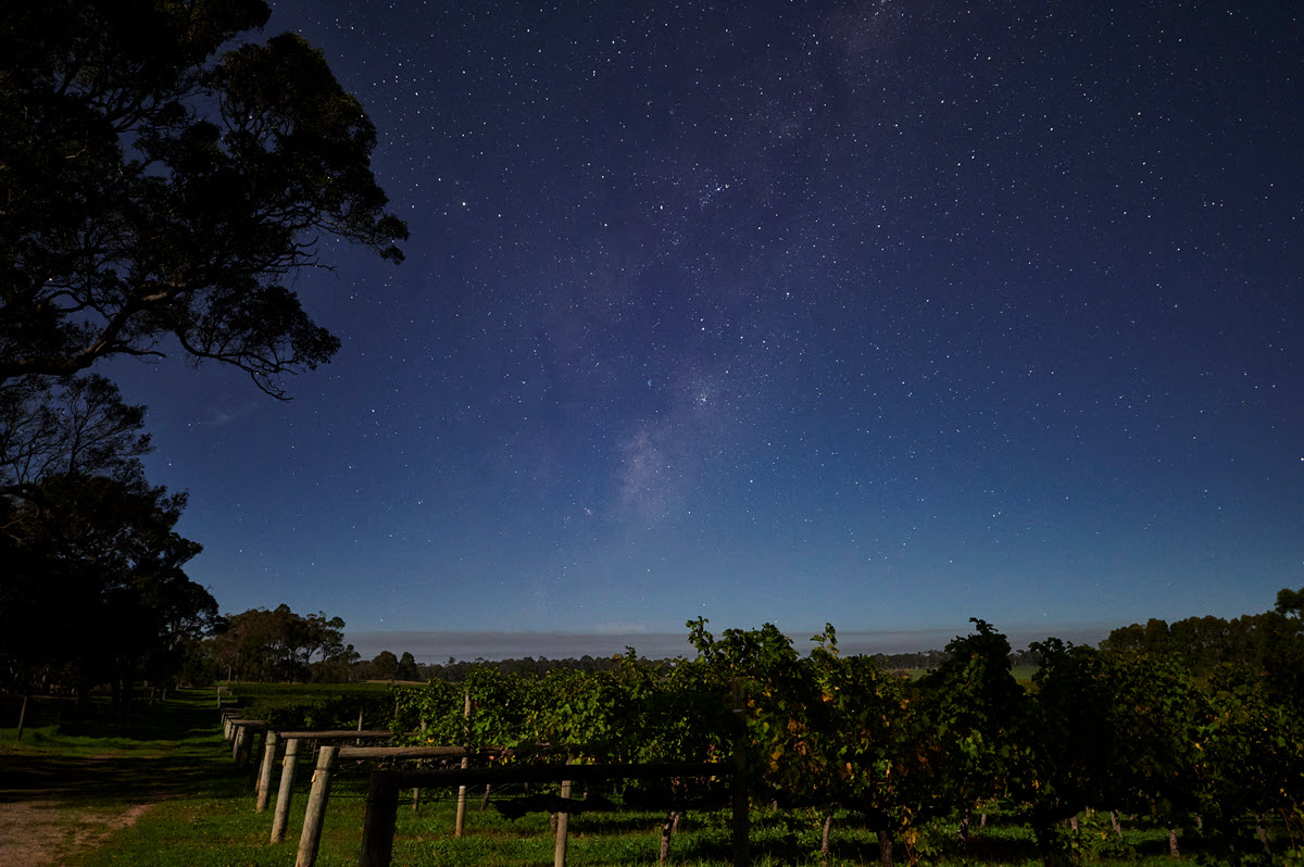 Margaret River lights up with stars as night sets over the local wineries.