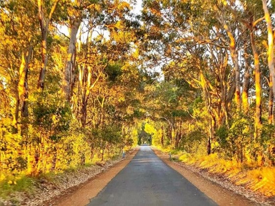 Margaret River road trip travel photo by lostdia.