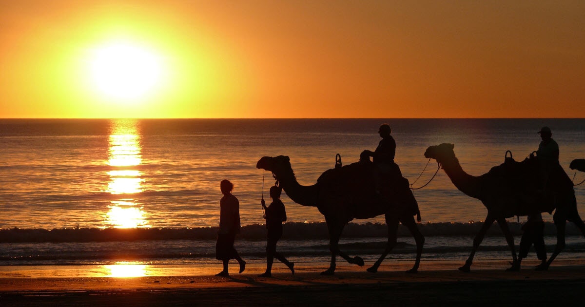 Broome camel rides across the beach.