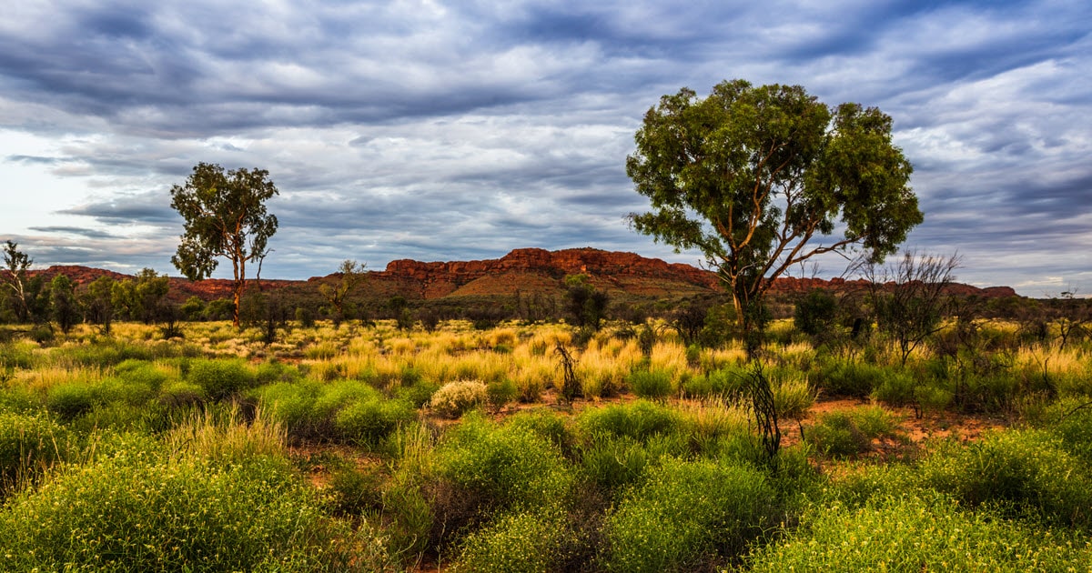 Top 10 Things To Do In WA | West Australian Travel Guide 2023