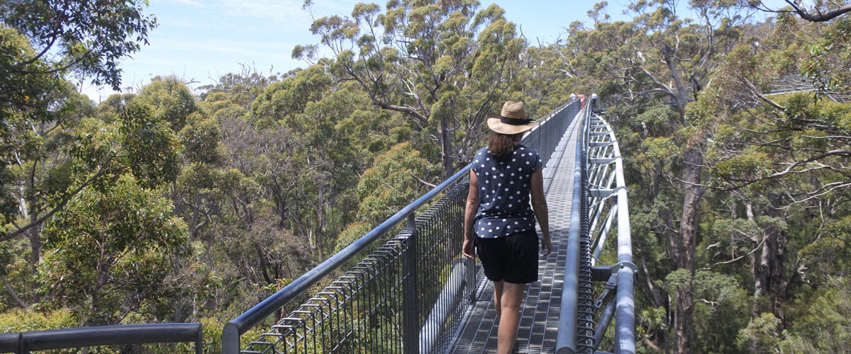 lookout over valley of the giants walpole