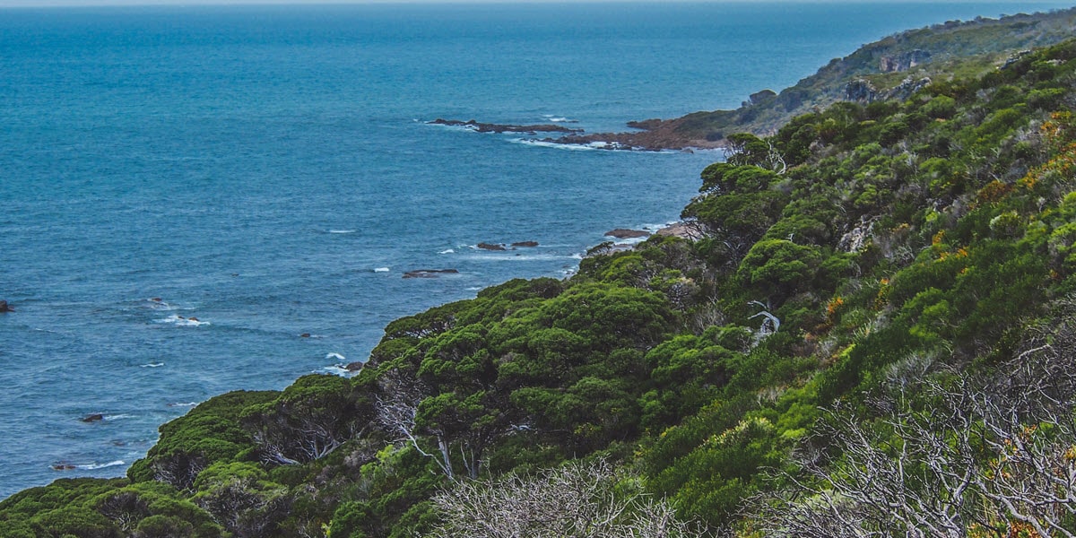 Cape Naturaliste National Park trails in Dunsborough, WA.