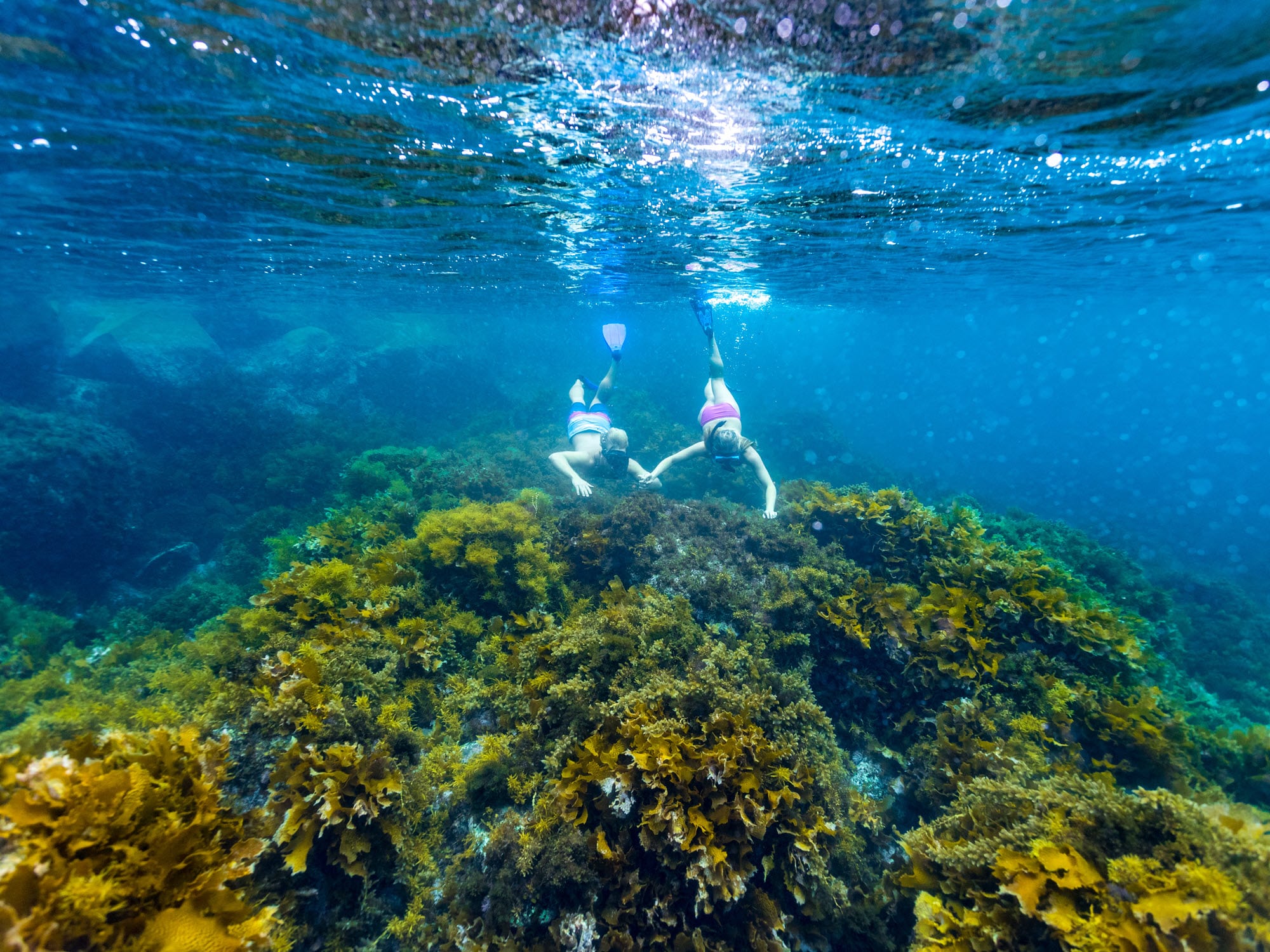 image of people snorkeling at Underwater World in Woody Island.