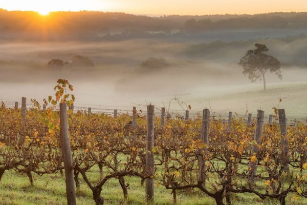 Margaret River Sunset - Western Australia