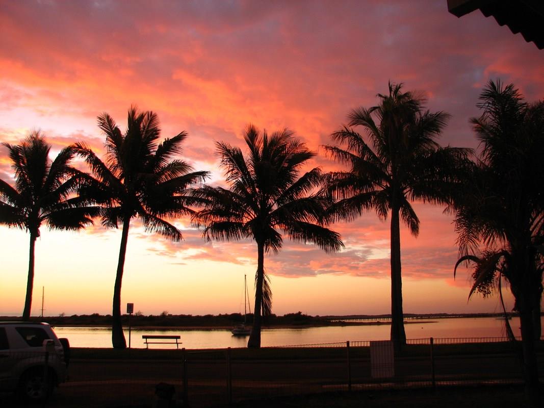 Sunset at the beach with palm trees lining the coast.
