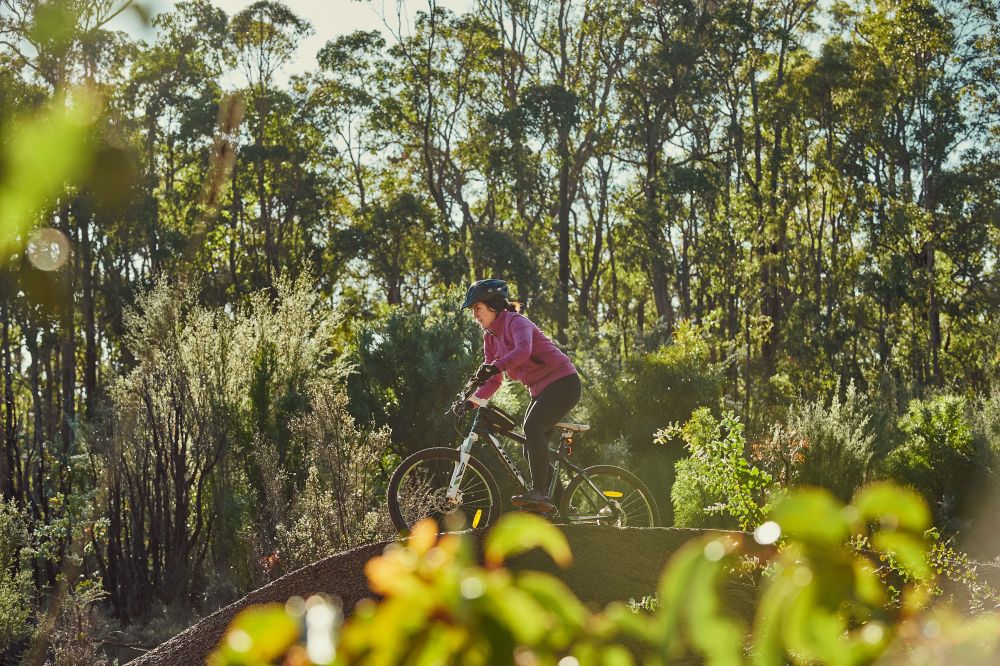 A woman rides down a roll in the forest on her mountain bike. 