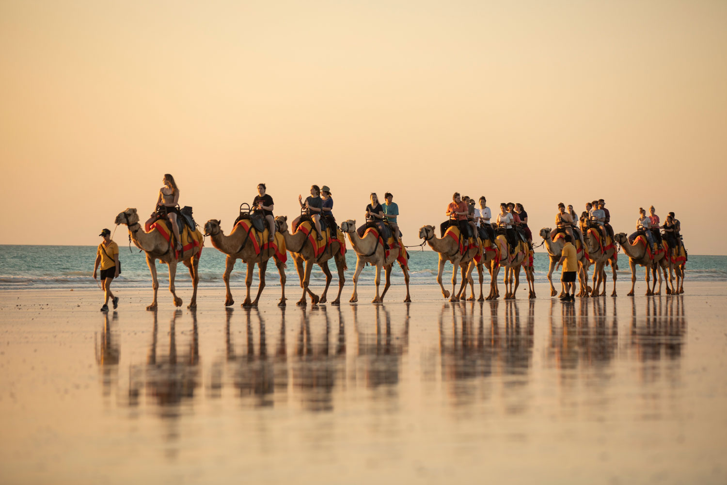 a group of people riding camels along the beach at sunset.
