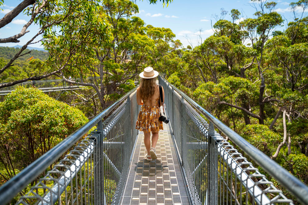 A woman walks on a suspended walkway among the tops of tingle trees to digital detox