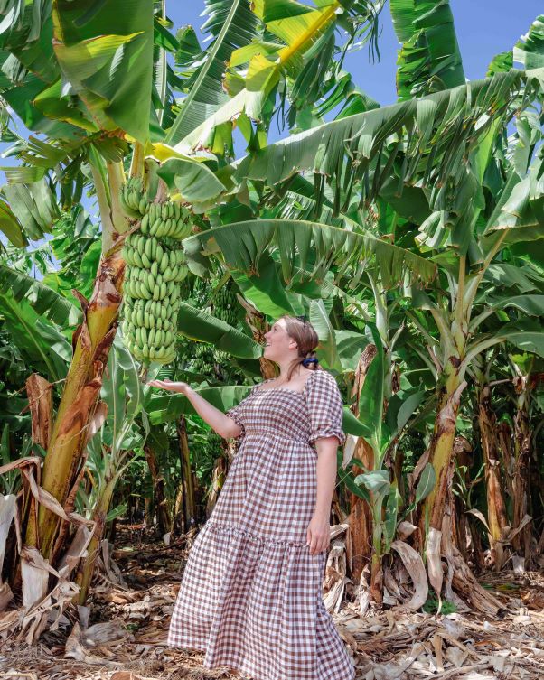 A woman in a plaid dress stands in a banana plantation