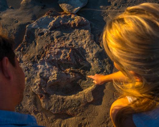 A woman points at dinosaur footprints embeded into rock.