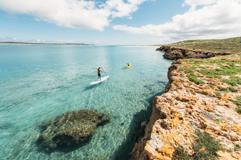 2 people kayaking and paddle boarding on the water.