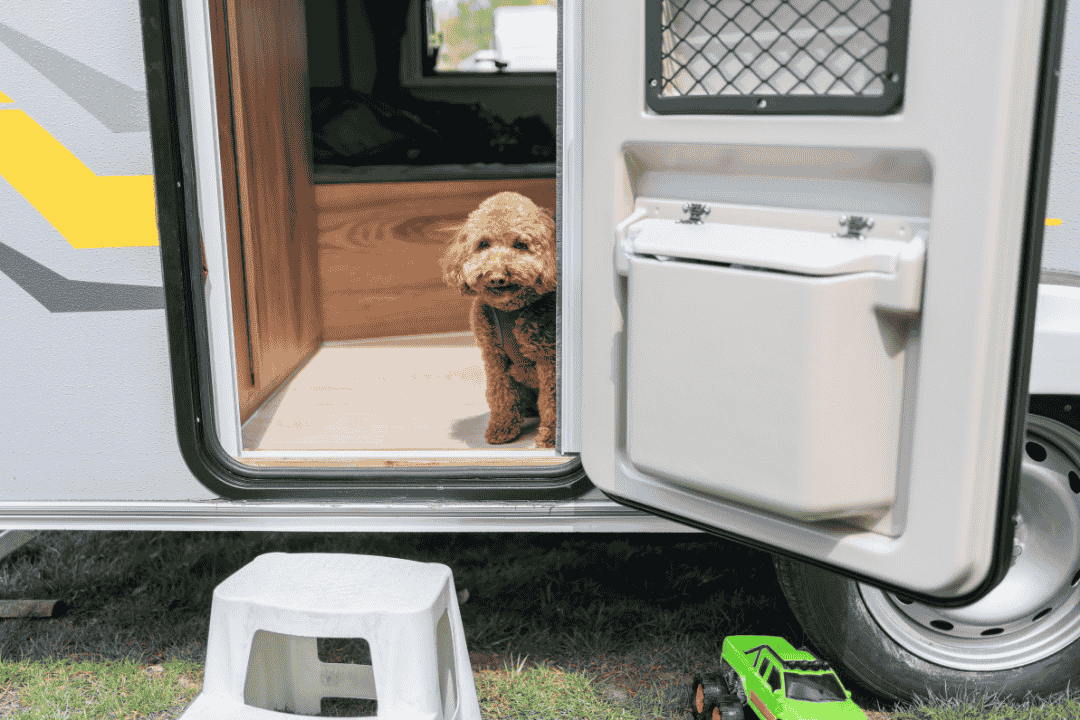 A dog sits by the entrance of a caravan 