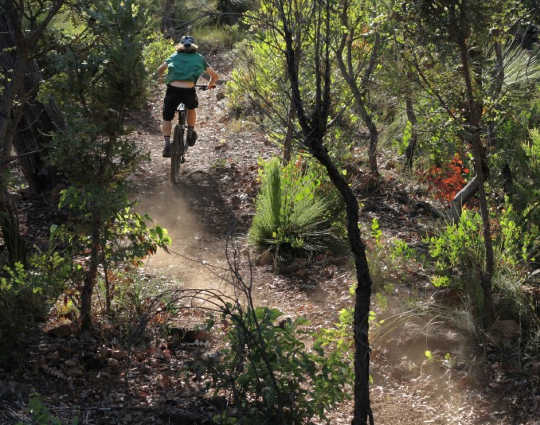 A man riding uphill on a mountain bike trail through the forest./
