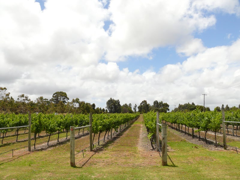 margaret river wineries