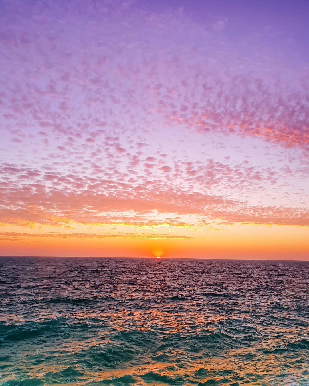 summerstarsunsets jan 2020 jurien bay